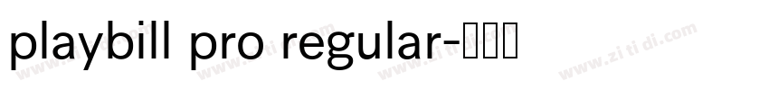 playbill pro regular字体转换